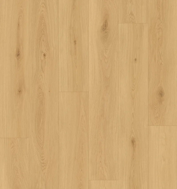 Sunkissed Cedar